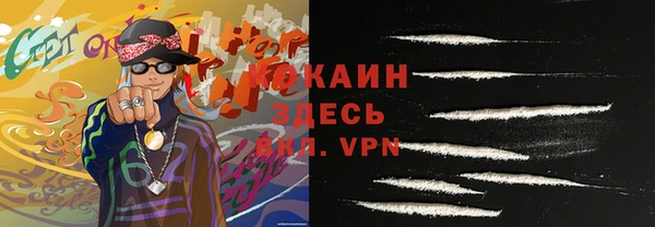 тгк Абаза
