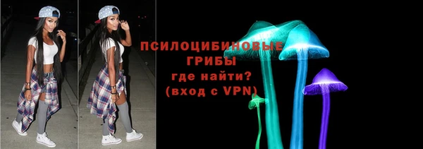 тгк Абаза
