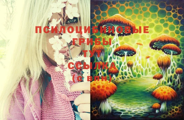 наркотики Абинск
