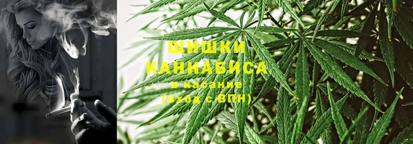 тгк Абаза